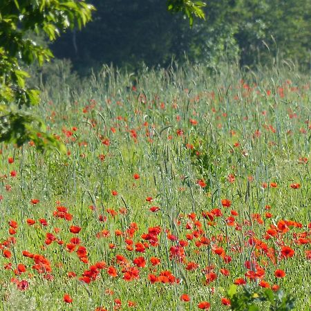 Au Ptit Coquelicot Villa Houyet ภายนอก รูปภาพ